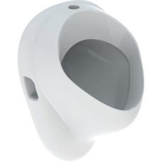 Geberit 502.885.00.1 Felix Пісуар, підвід зверху, відвід прихований або вниз, колір білий глянець