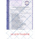 Walver Адаптер универсальний фланцевий чавунний DN 50 (59-72) (000021015)