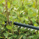 BOSCH Кущоріз акумуляторний UniversalHedgeCut 18V-5018В АКБ 1х2.5А·год 50мм крок різу 20мм ЗП AL1830CV 2.6кг (0600849K01)