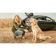 BOSCH Мінімийка акумуляторна Fontus 18V 18В20бар 386л/год 7.5кг без АКБ і ЗП (06008B6102)