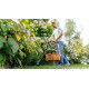BOSCH Тример садовий EasyGrassCut 23 280Вт 23см 1.9кг (06008C1H01)