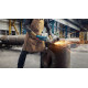 BOSCH Шліфмашина кутова GWS 24-230 P 230мм 2400Вт 8500об·хв 5.7кг (06018C3100)