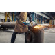 BOSCH Шлифмашина угловая (болгарка) GWS 24-230 JZ, 230мм, 2400Вт , 8500об•хв, плавн. пуск, із системою захисту від пилу Cyclone Tech, 5.8кг (06018C3300)