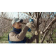 BOSCH Секатор Pro Pruner SOLO акумуляторний, 12В, 3.0 Ач, до 25мм, 1кг (06019K1020)