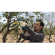 BOSCH Секатор Pro Pruner SOLO акумуляторний, 12В, 3.0 Ач, до 25мм, 1кг (06019K1020)
