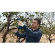 BOSCH Секатор Pro Pruner SOLO акумуляторний, 12В, 3.0 Ач, до 25мм, 1кг (06019K1020)