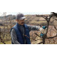 BOSCH Секатор Pro Pruner SOLO акумуляторний, 12В, 3.0 Ач, до 25мм, 1кг (06019K1020)