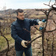 BOSCH Секатор Pro Pruner акумуляторний, 12В, 3.0 Ач, до 25мм, 1кг, сет. 2 ак. (06019K1021)
