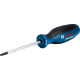 BOSCH Викрутка , Torx T20x100мм (1600A01V0C)