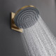 Hansgrohe PULSIFY держатель верхнего душа, цвет шлифованная бронза, (24149140)