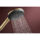 Hansgrohe RAINDANCE ALIVE SELECT S ручний душ (3 типи струменів RainAir, PowderRain, Massage), шліфованна бронза, (24500140)