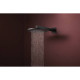 Hansgrohe RAINDANCE ALIVE S верхній душ 300мм, 1 режим, колір чорний матовий, (24520670)