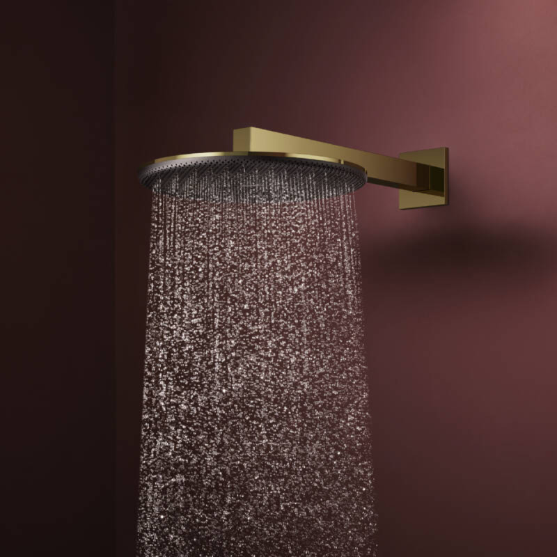 Hansgrohe RAINDANCE ALIVE S верхній душ 300мм, 1 режим, колір полірованне золото, (24520990)