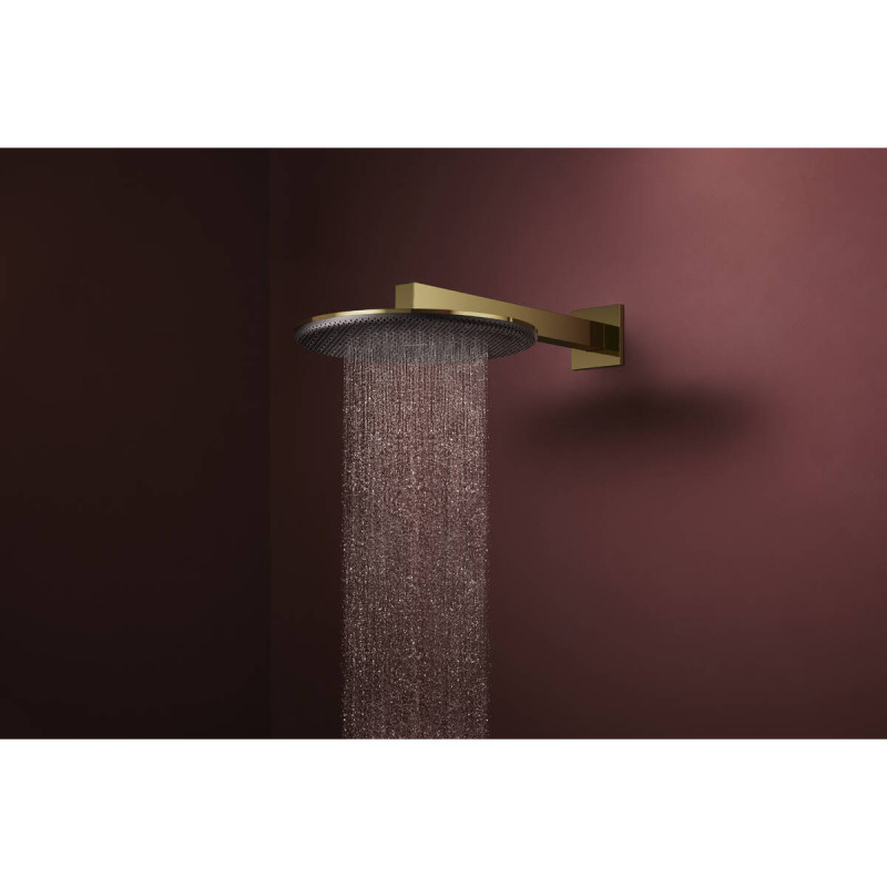 Hansgrohe RAINDANCE ALIVE S верхній душ 300мм, 1 режим, колір полірованне золото, (24520990)