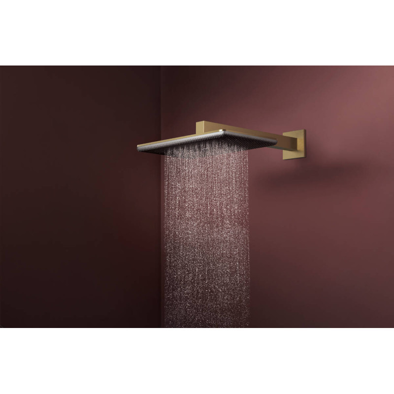 Hansgrohe RAINDANCE ALIVE Qверхній душ 210/340мм, 2 режими, з тримачем, колір шліфована бронза, (24550140)