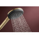 RAINDANCE ALIVE Q Showerpipe душова система 210/340 2jet, з термостатом, шліфованна бронза