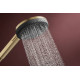 RAINDANCE ALIVE Q Showerpipe душова система 210/340 2jet, з термостатом, шліфованна бронза