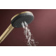 RAINDANCE ALIVE Q Showerpipe душова система 210/340 2jet, з термостатом, шліфованна бронза