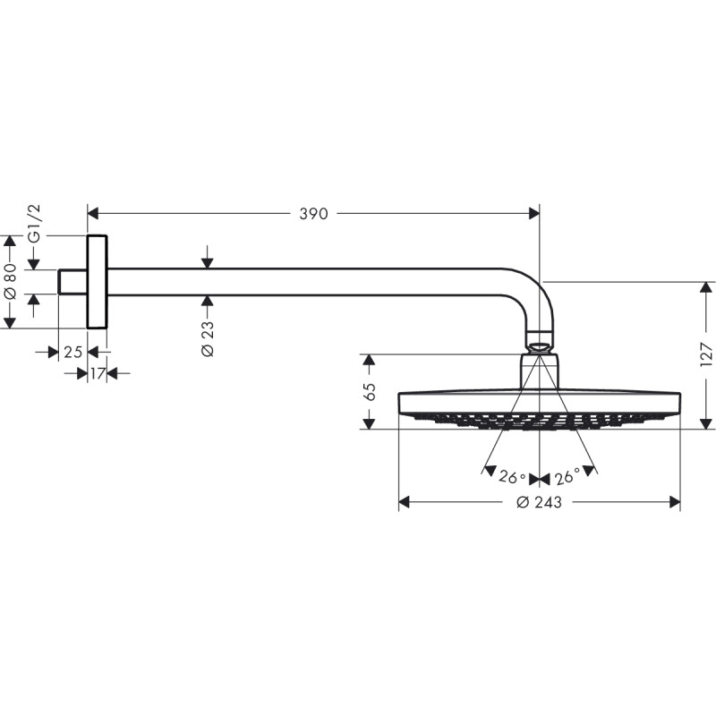 Hansgrohe Raindance Select S Верхній душ з тримачем 390 мм, (26466400)