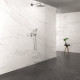 Grohe Rainshower Підключення душового шлангу з тримачем (26658000)