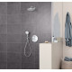 Grohe 26668000 Tempesta 250 Лійка для верхнього душу з тримачем, хром mpesta 250 Лійка для верхнього душу з тримачем, хром (26668000)