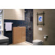 ACTIVERA S 240 1jet EcoSmart Showerpipe душова система з термостатом, хром