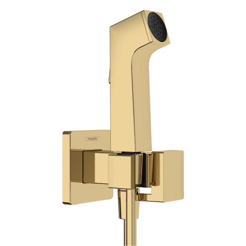 Hansgrohe E гігієнічний душ, зі шлангом 1,25 м і тримачем, колір полірованне золото¶, (29233990)
