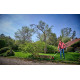 Einhell Тример акумуляторний GE-CT 18/33 Li E - Solo, PXC, 18В, 33 см, 7000 об/хв, 2.65 кг (без АКБ і ЗП) (3411270)