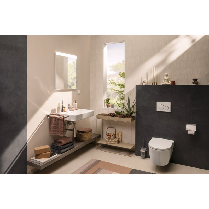 Hansgrohe ADDSTORIS щiтка для унiтазу, (41752000)