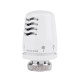 Icma Термоголовка 30х1,5 №1101 (821101AC20)
