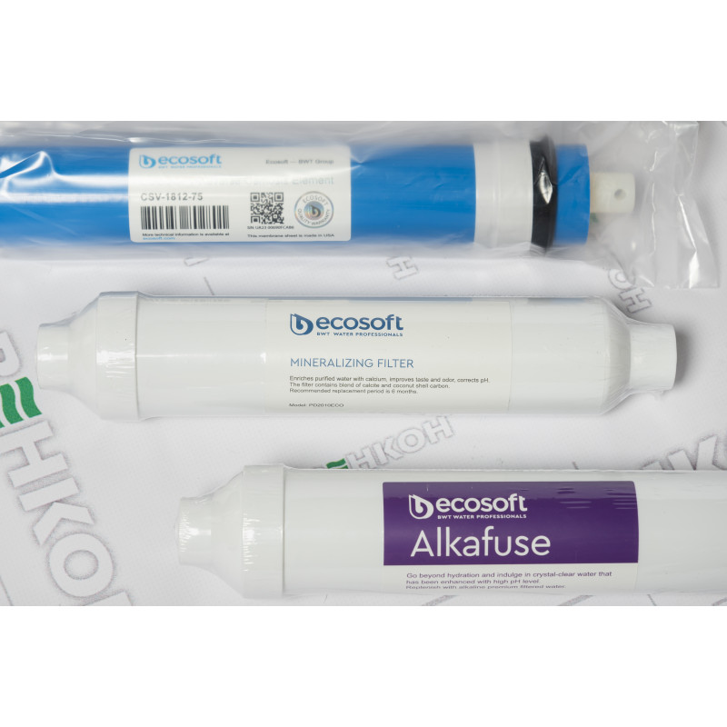 ECOSOFT Комплект картриджів P'URE Alkafuse 12 місяців (CHV6PUREALC)