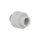 Муфта PPR Thermo Alliance 20х3/4