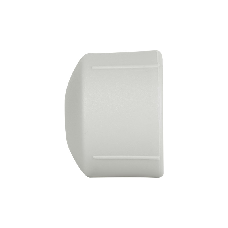 Заглушка PPR Thermo Alliance 20 SD00029204