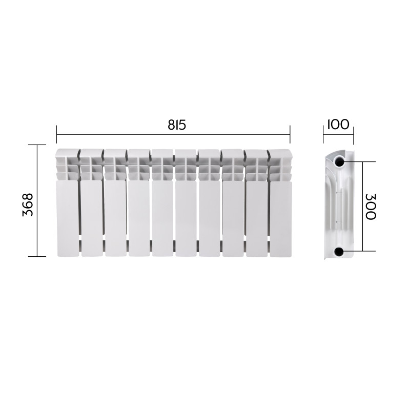 Thermo Alliance Радіатор біметалічний Bi-Ferrum 300/100 1,15 кг
