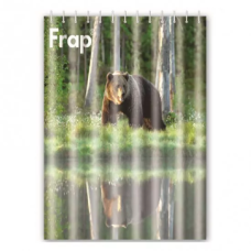Frap Шторка - фіранка для ванної F8608, поліестер, 180х180 см, 