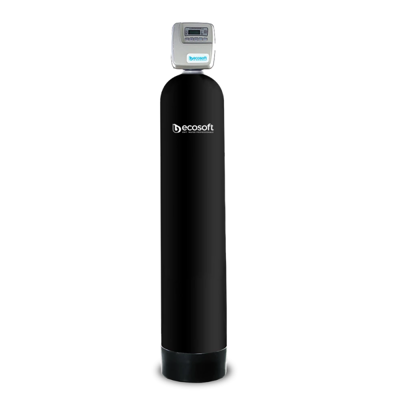 ECOSOFT Фільтр механічного очищення FP 1665CT (FP1665CTPL)