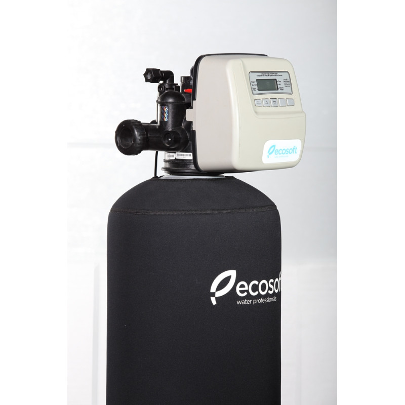 ECOSOFT Фільтр для видалення хлору FPA 1665CT (FPA1665CT)