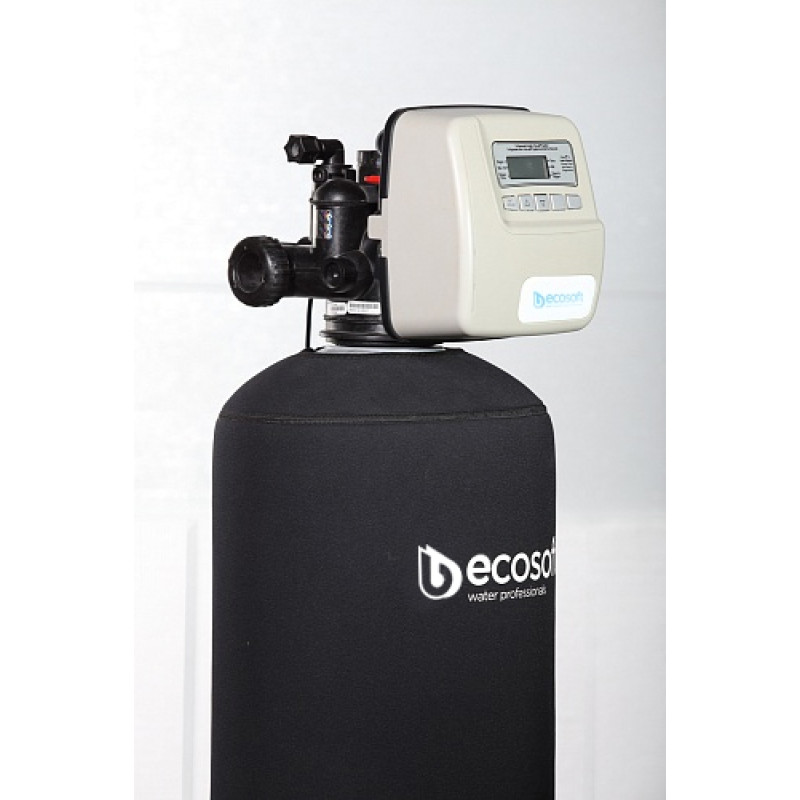 ECOSOFT Фільтр для видалення сірководню FPC 1665CT (FPC1665CT)