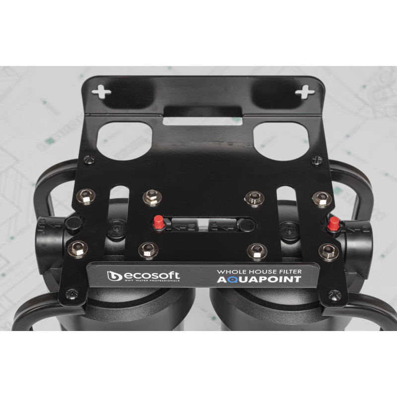 ECOSOFT Двоступеневий багатофункціональний фільтр AquaPoint (FPV24520SECOSTD)
