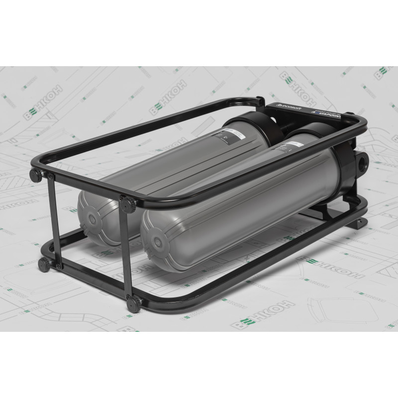ECOSOFT Двоступеневий багатофункціональний фільтр AquaPoint (FPV24520SECOSTD)