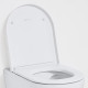 Laufen KARTELL сидіння з кришкою 44,5*37,5*3,5см, знімне, з механізмом slow closing, білий матовий, (H8913337570001)