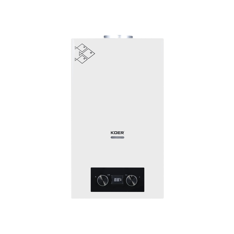 Газовая колонка Koer KWH.G0110 WHITE дымоходная 10 л/мин, цвет белый (KR5553)