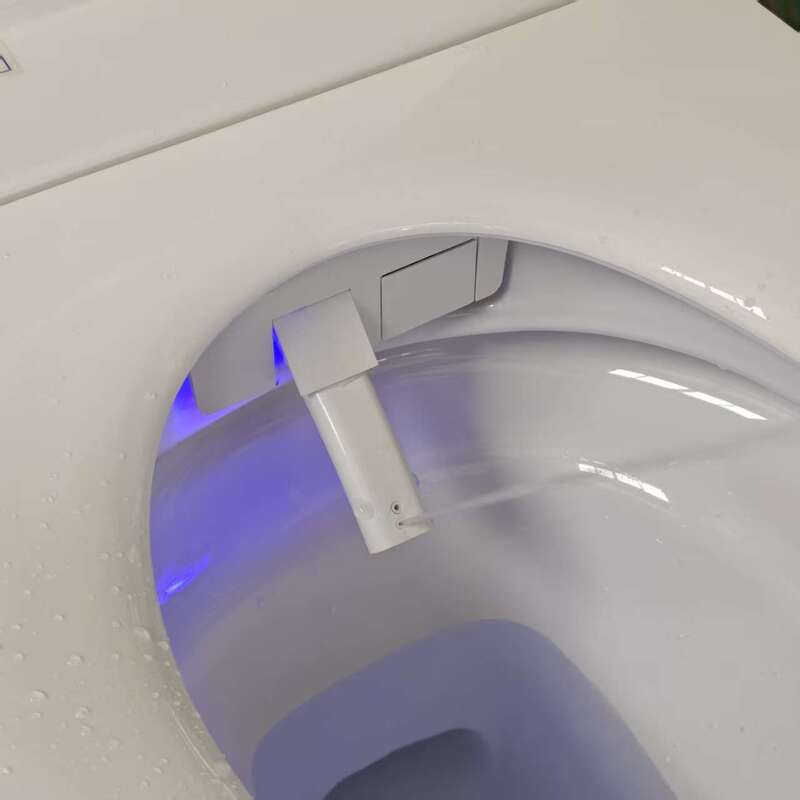 Унитаз-биде напольный с электронным управлением Koer TB-0202 Smart 680x405x455mm со встроенным бачком (KR6072)