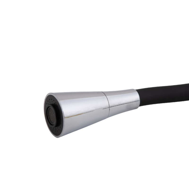 Lidz Змішувач для кухні Tani 008F3 з гнучким виливом (k40) LDTAN008F3BCR39484 Black / Chrome