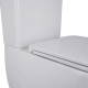 Qtap Унитаз-компакт Robin Ultra Quiet безободочный с сиденьем Soft-close QT13222128AUQ1W