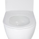 Qtap Унітаз підвісний Robin Mew безобідковий з сидінням Soft-close QT1333046EUQW