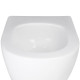 Qtap Унітаз підвісний Robin Mew безобідковий з сидінням Soft-close QT1333046EUQW