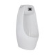 Qtap Пісуар підвісний Stork з ІЧ-датчиком автоматичного змиву 350х310х685 White QT1588102HW