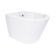 Біде підвісне Qtap Swan 485х360х320 мм, White QT16555379W SD00054236