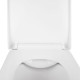 Qtap Унітаз підвісний Tern безобідковий з сідінням Soft-close QT1733052ERW